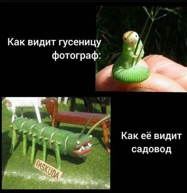 Деграднем на отлично Деграднем на отлично