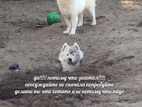 Деграднем на отлично Деграднем на отлично