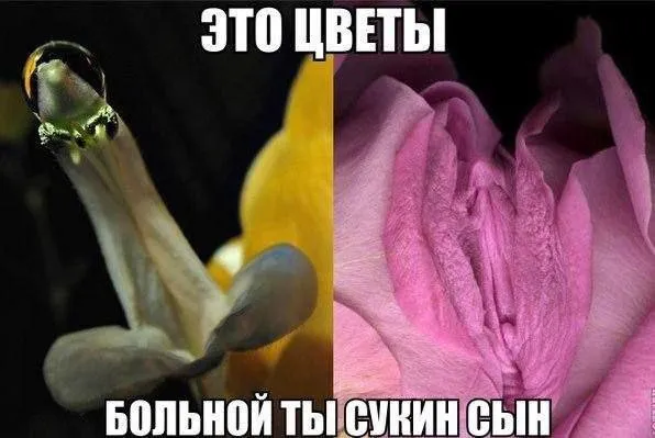 Деграднем на отлично Деграднем на отлично
