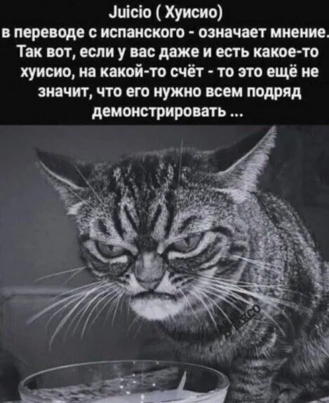 Юмор в картинках и без Юмор в картинках и без