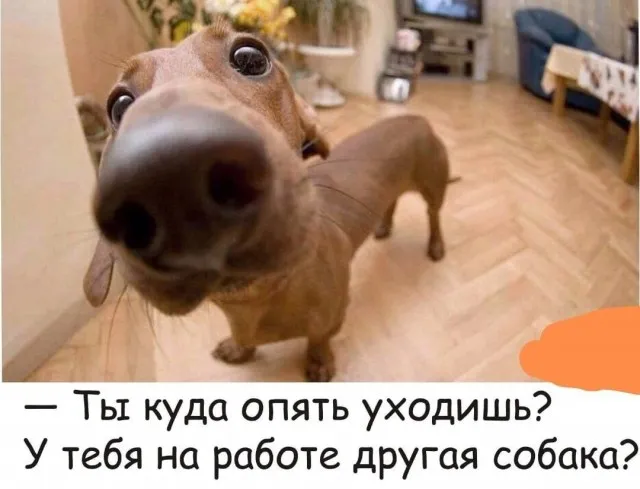 Юмор в картинках и без Юмор в картинках и без
