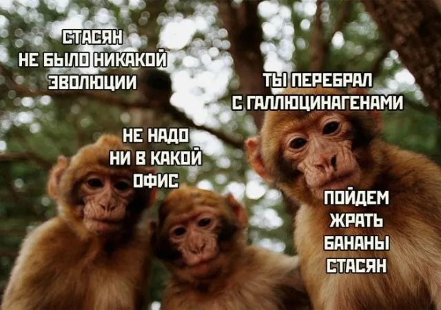 Так себе картинки Так себе картинки