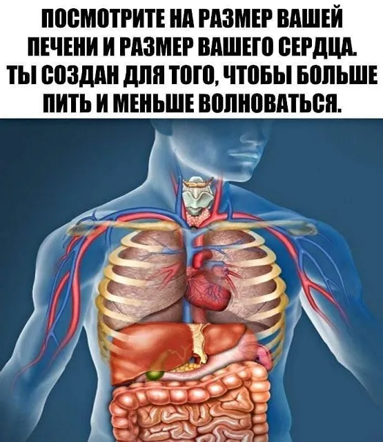 Подборка картинок Подборка картинок