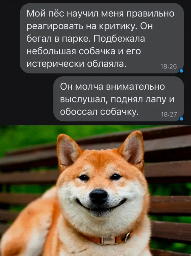 Так себе картинки Так себе картинки