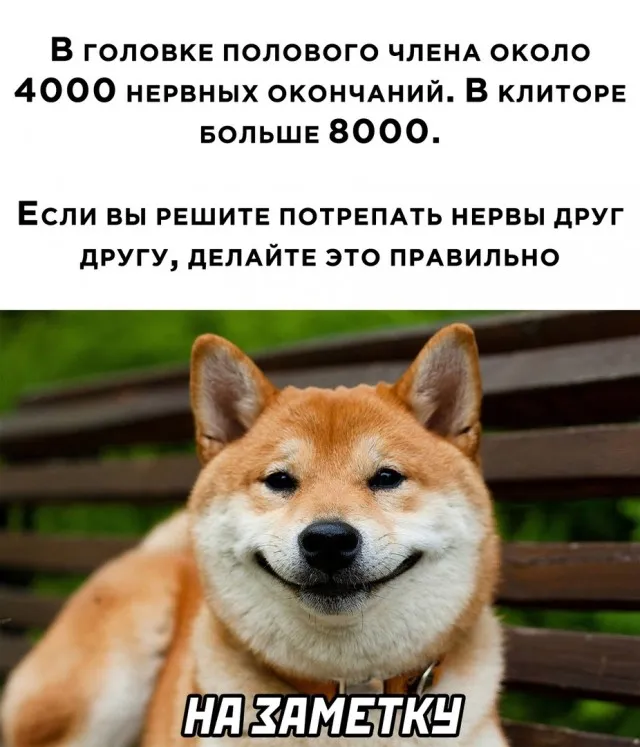 Так себе картинки Так себе картинки