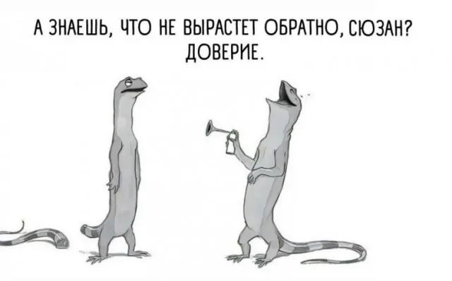 Подборка картинок Подборка картинок