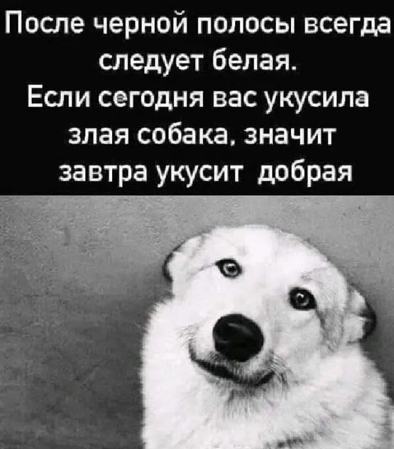 Подборка картинок Подборка картинок