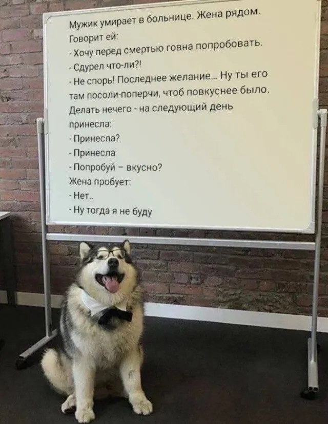 Картинки Картинки