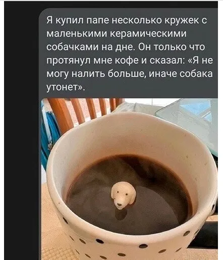 Приколы Приколы