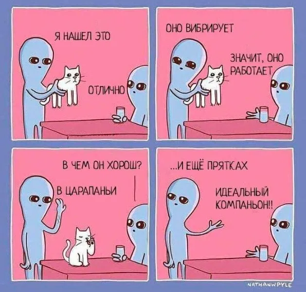 Приколы Приколы