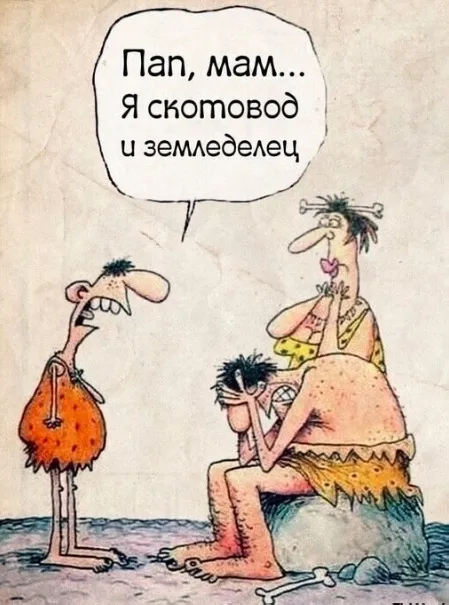Приколы Приколы