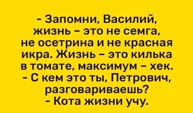 Приколы Приколы