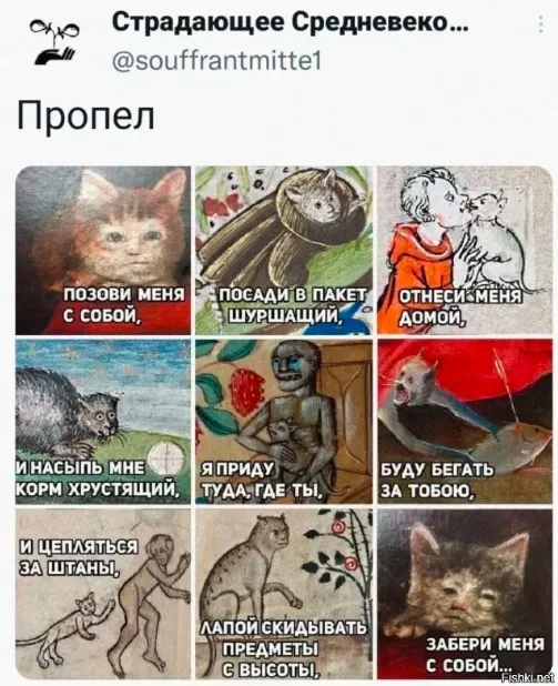 Приколы Приколы