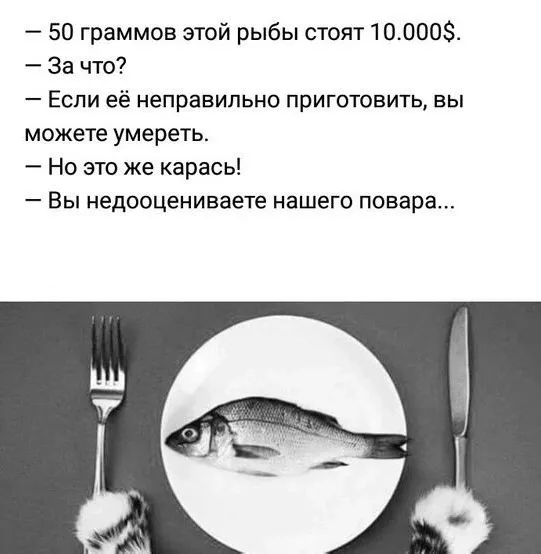 Приколы Приколы