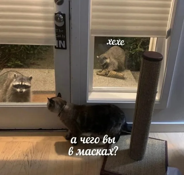 Картинки Картинки