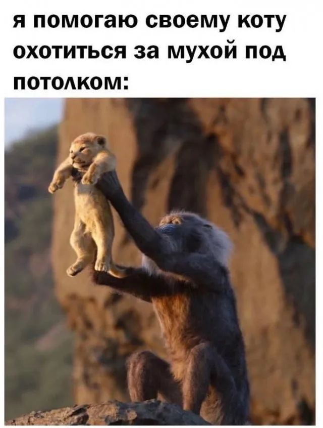 Картинки Картинки