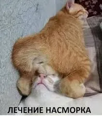 Картинки Картинки