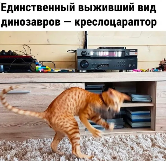 Так себе картинки Так себе картинки