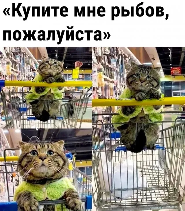 Так себе картинки Так себе картинки