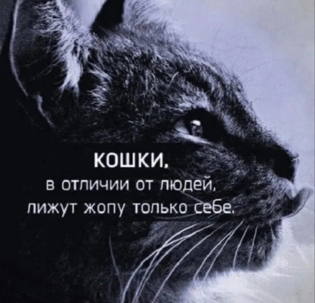 Так себе картинки