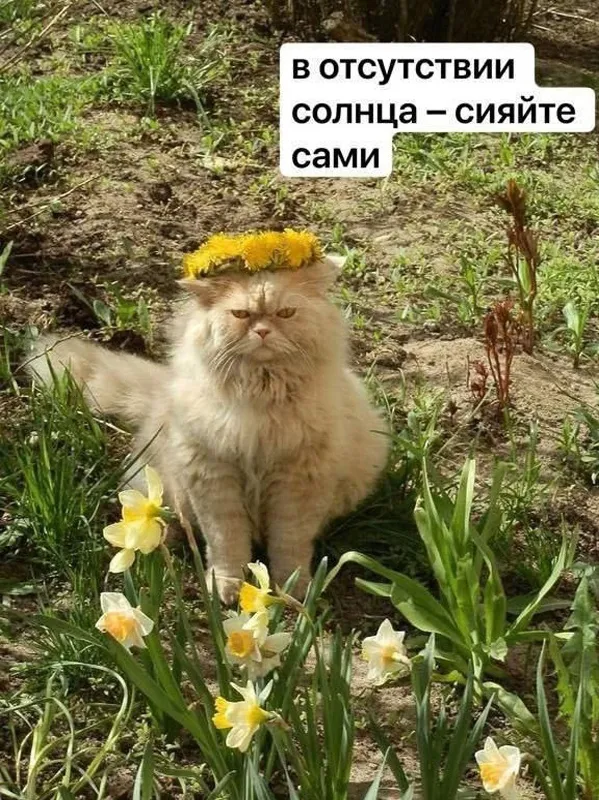 Так себе картинки Так себе картинки