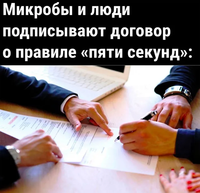 Так себе картинки Так себе картинки
