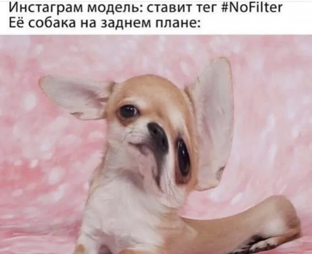 Юмор в картинках и без Юмор в картинках и без