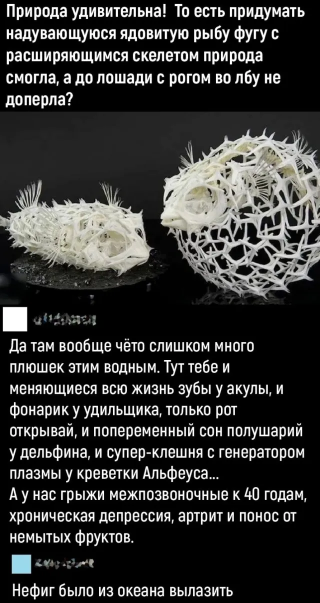 Юмор в картинках и без Юмор в картинках и без