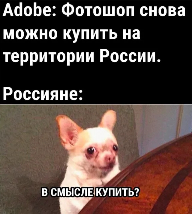 Так себе картинки Так себе картинки