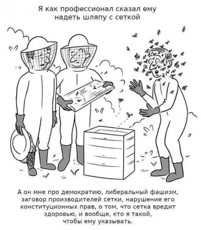 Картинки и мемы Картинки и мемы