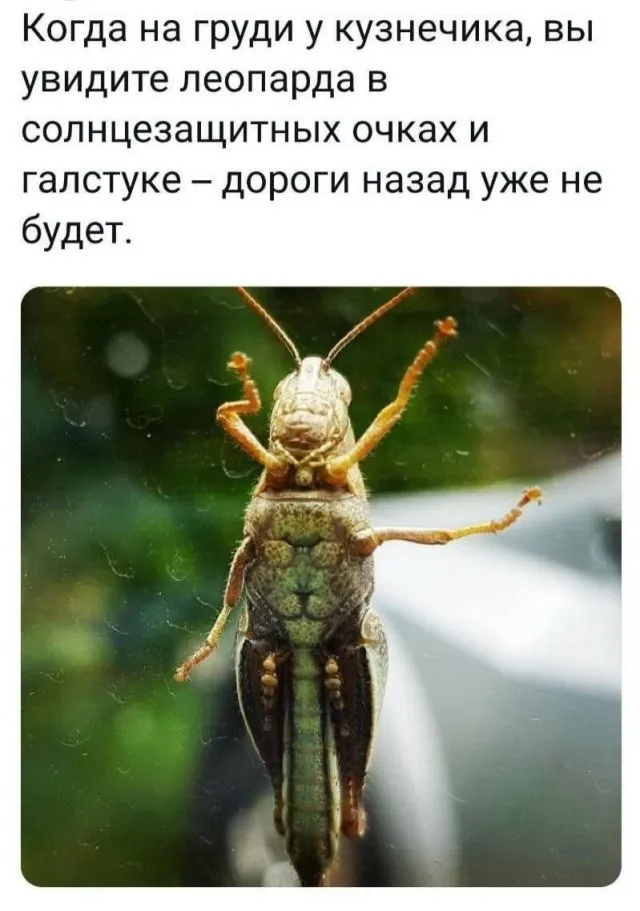 Картинки и мемы Картинки и мемы