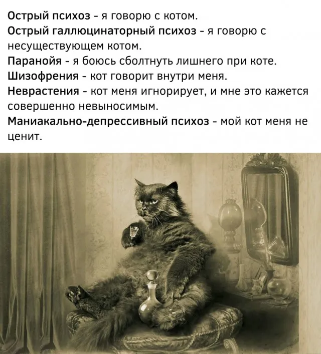 Так себе картинки Так себе картинки