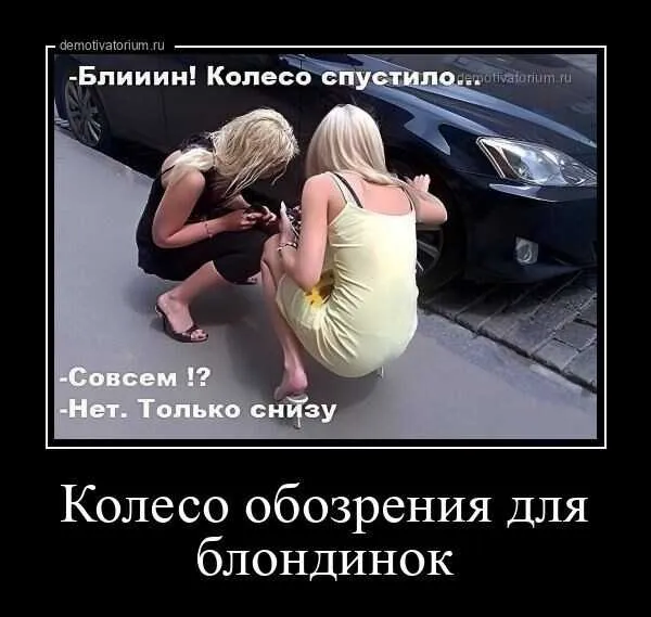 Картинки Картинки
