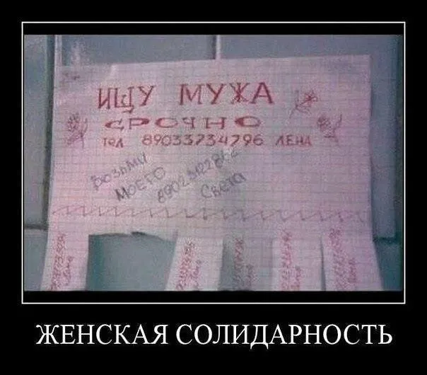 Картинки Картинки