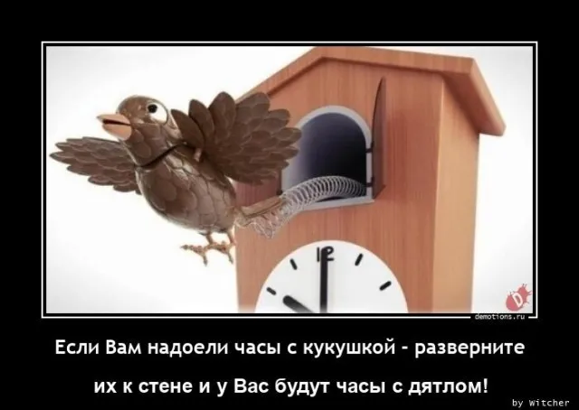Картинки Картинки