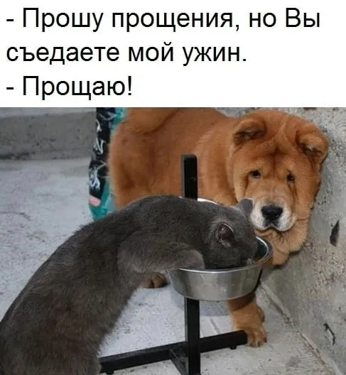 Так себе картинки Так себе картинки
