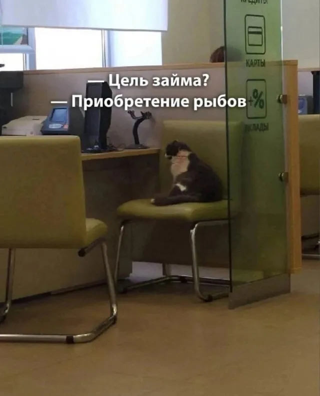 Так себе картинки Так себе картинки