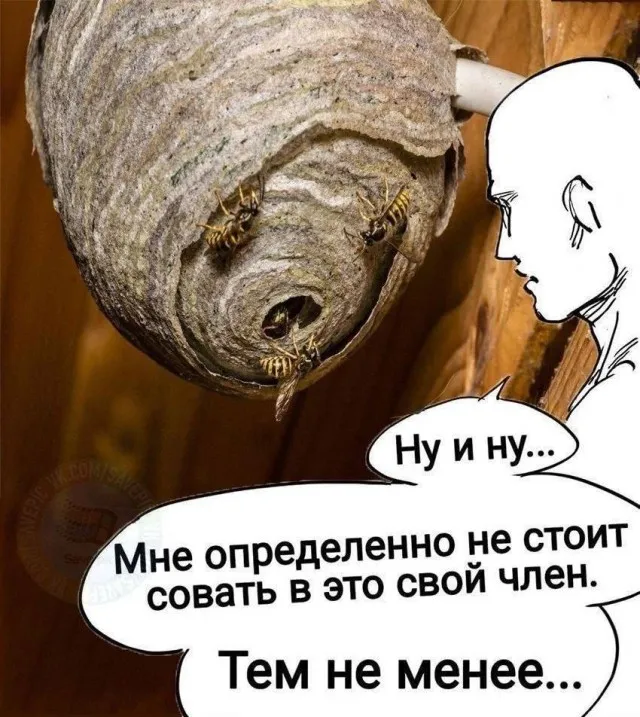 Пошленько Пошленько