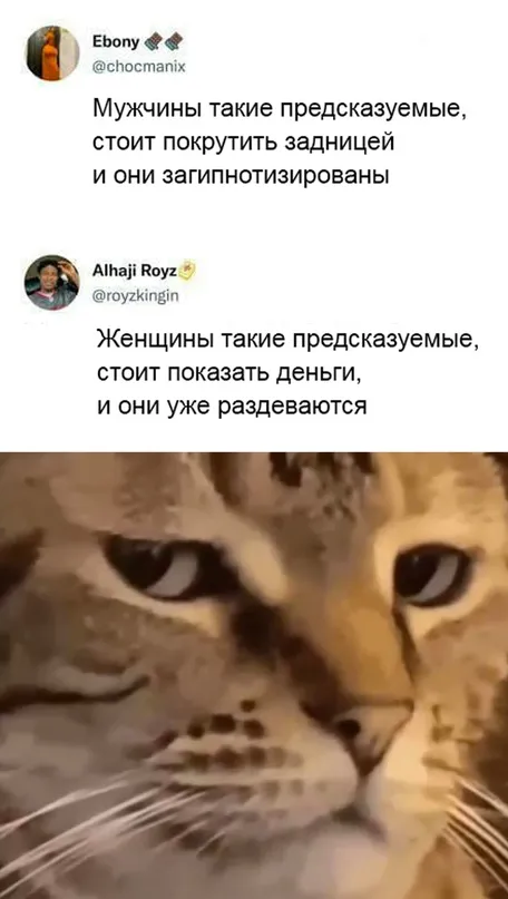Весёлые Весёлые