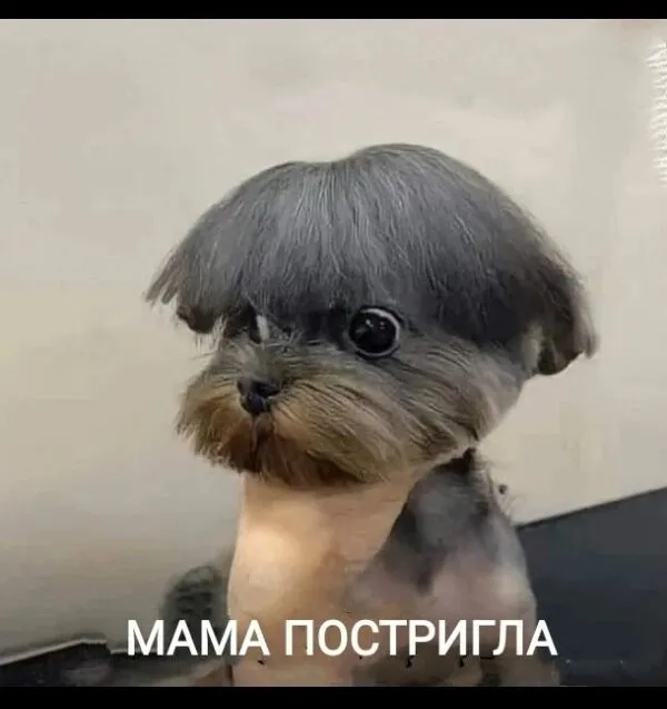 Юмор в картинках и без Юмор в картинках и без