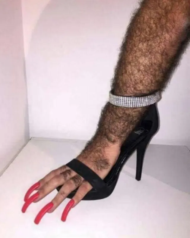 WTF WTF