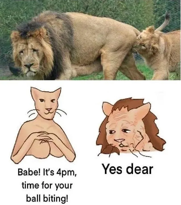 Нестандартный юмор :)