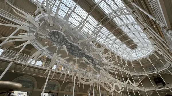 Масштабные и впечатляющие инсталляции от британского художника Люка Джеррама