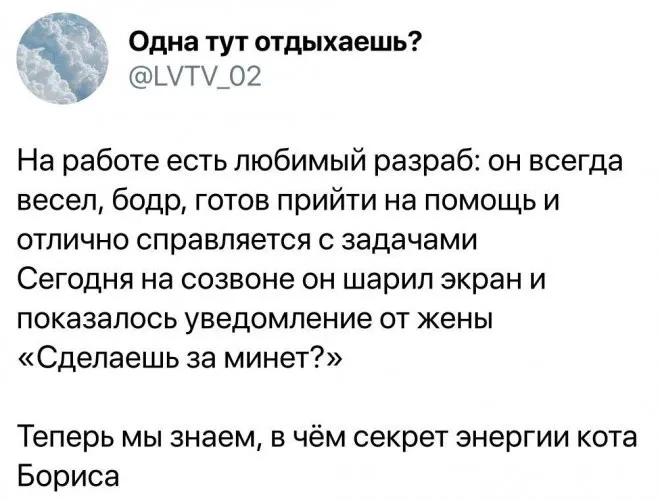 Скрины из соцсетей Скрины из соцсетей