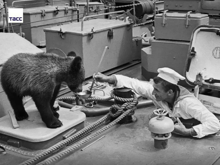 Фотографии из прошлого Фотографии из прошлого