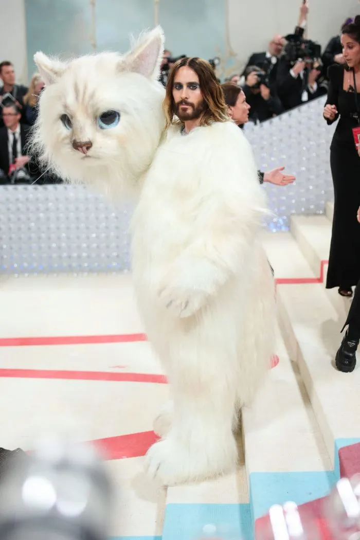 20 самых интересных звёздных образов бала Met Gala 2023, посвященного памяти Карла Лагерфельда 20 самых интересных звёздных образов бала Met Gala 2023, посвященного памяти Карла Лагерфельда