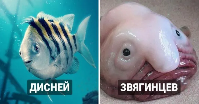 Каким был бы Флаундер из новой «Русалочки» у других режиссёров Каким был бы Флаундер из новой «Русалочки» у других режиссёров
