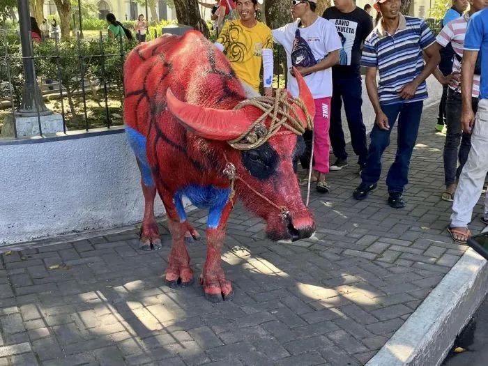 Фотоподборка Фотоподборка