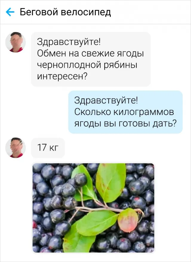 Забавные попытки людей купить или продать что-нибудь в интернете Забавные попытки людей купить или продать что-нибудь в интернете