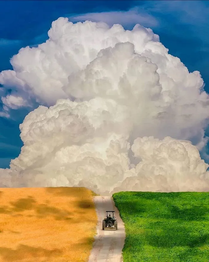 Фотоподборка Фотоподборка
